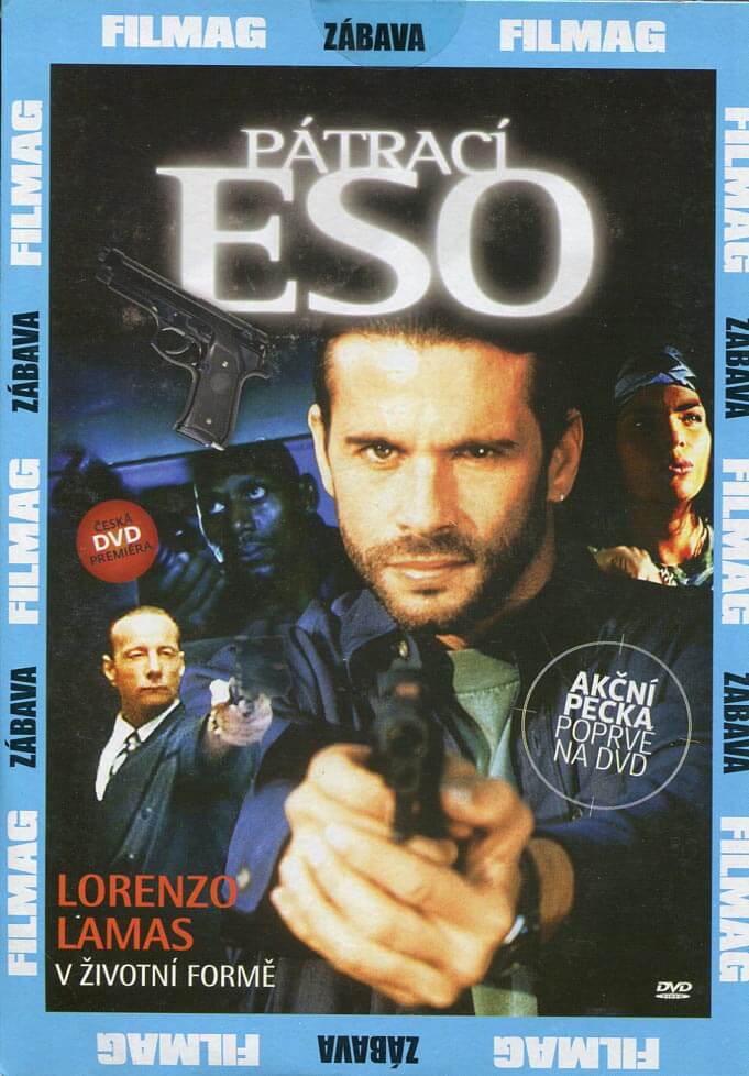 Pátrací eso (DVD) (papírový obal)