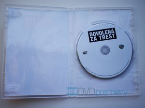 Dovolená za trest (DVD)