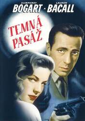 Temná pasáž (DVD)