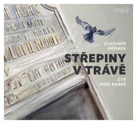 Střepiny v trávě (Körner), Igor Bareš (MP3-CD) - audiokniha